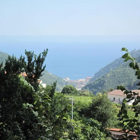Hotel Novella Holiday's 3*